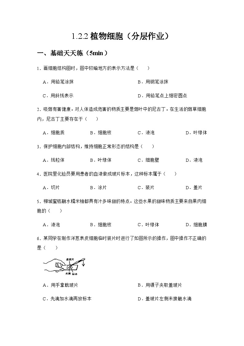 人教版（2024）初中生物学七年级上册1.2.2《植物细胞》课件＋教案+学案+分层练习01