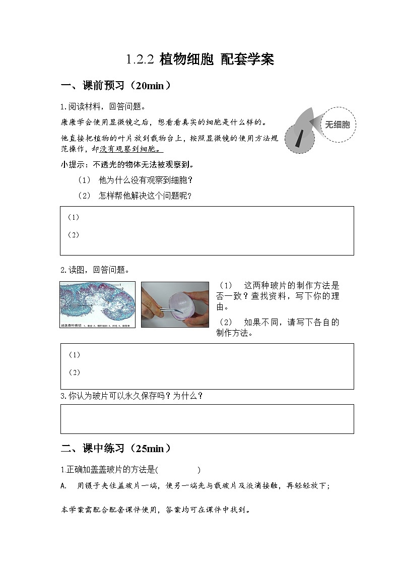 人教版（2024）初中生物学七年级上册1.2.2《植物细胞》课件＋教案+学案+分层练习01