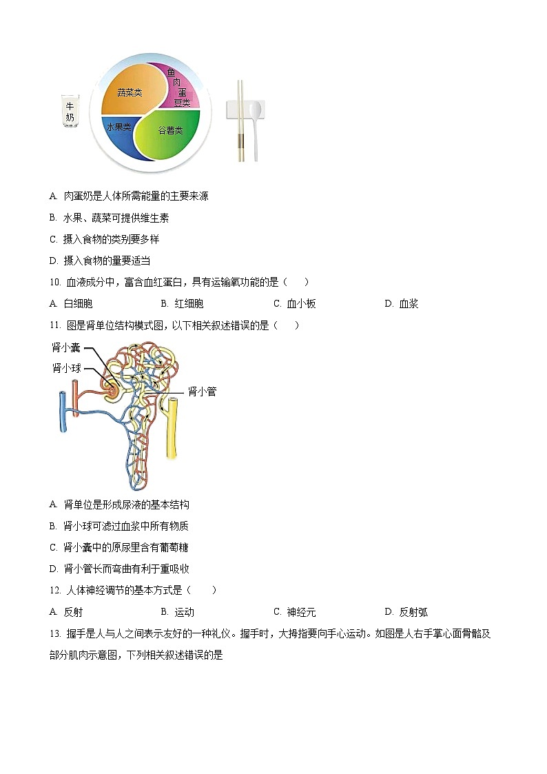 2024年北京市西城区中考真题生物真题03