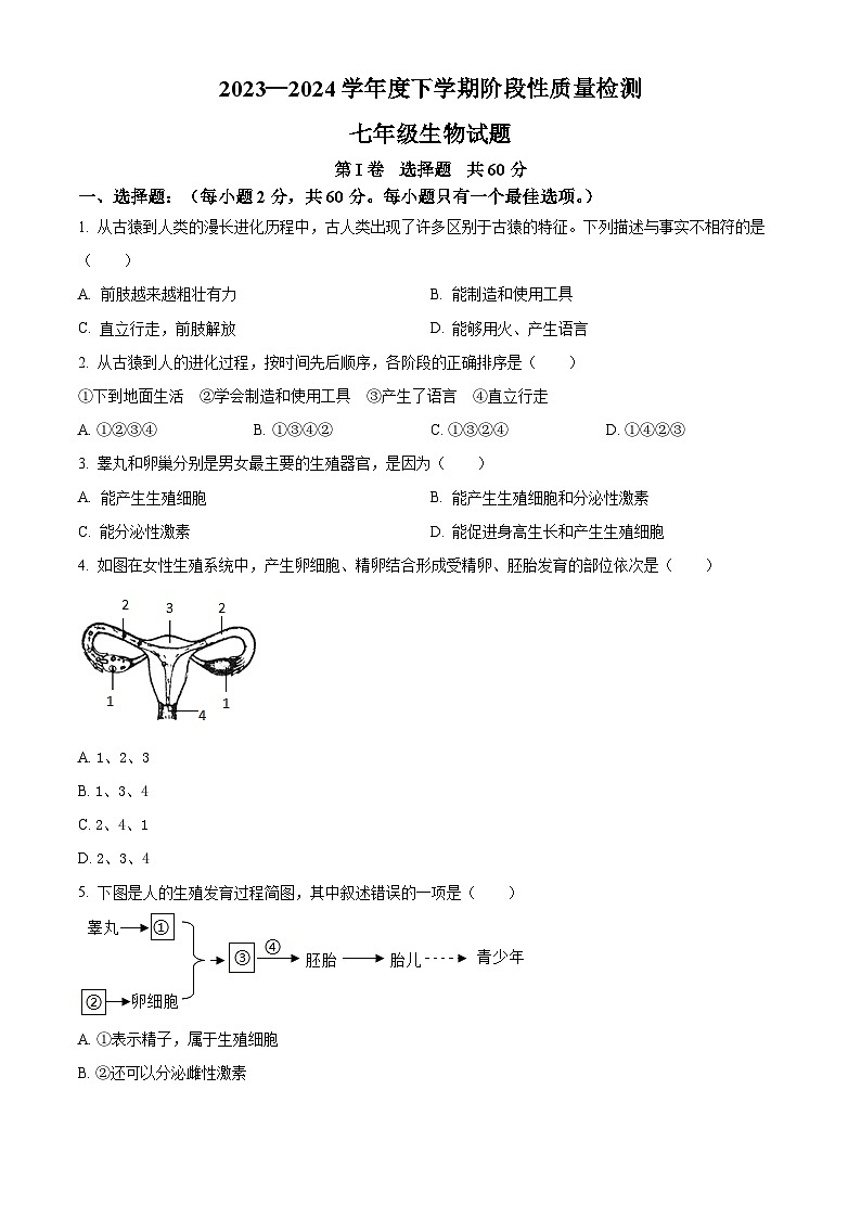 山东省临沂市莒南县2023-2024学年七年级下学期期中生物学试题（原卷版）01