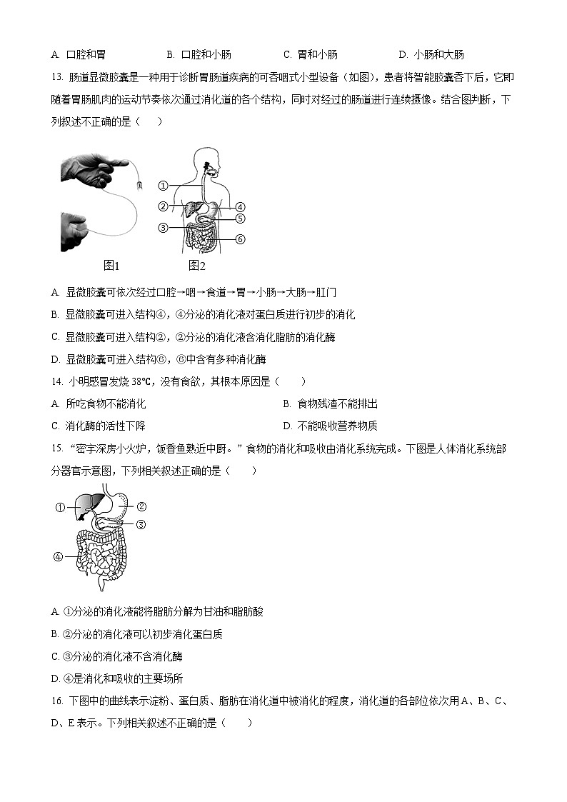 山东省临沂市莒南县2023-2024学年七年级下学期期中生物学试题（原卷版）03