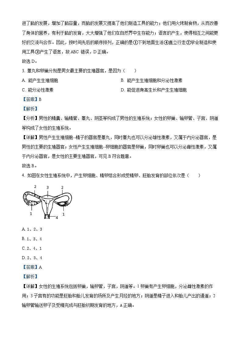 山东省临沂市莒南县2023-2024学年七年级下学期期中生物学试题（解析版）02