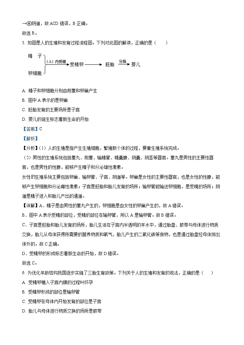 山东省临沂市费县2023-2024学年七年级下学期期中生物学试题（解析版）03