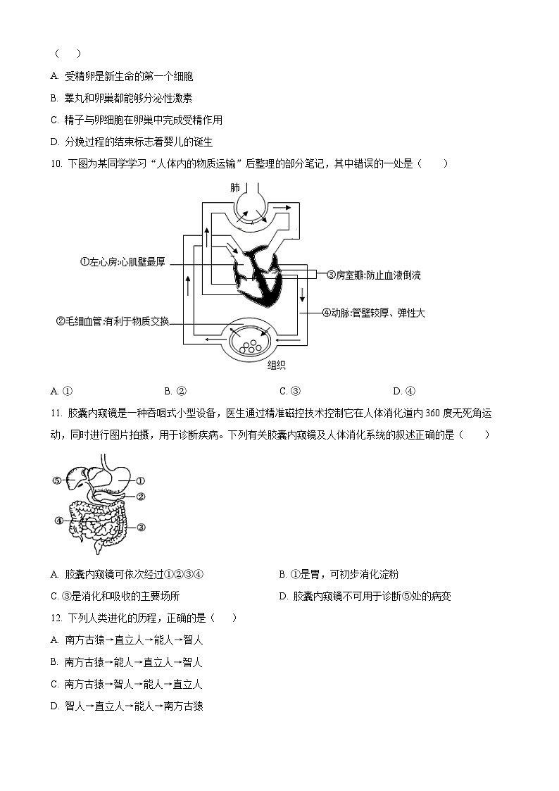 山东省聊城市临清市2023-2024学年七年级下学期期中生物学试题（原卷版）第3页