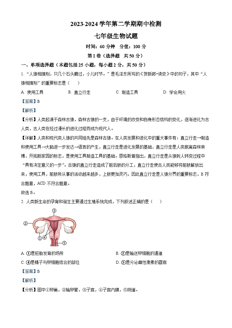 山东省聊城市东昌府区孟达外国语联考2023-2024学年七年级下学期期中生物试题（解析版）01