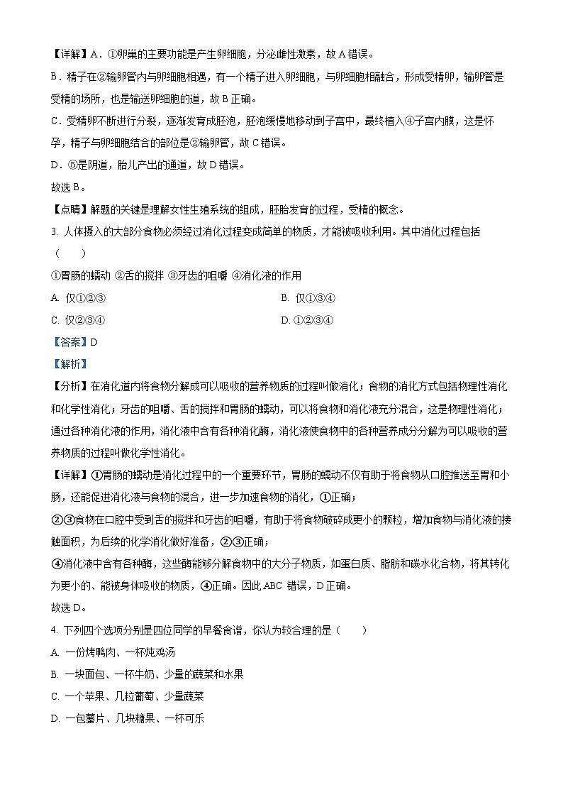 山东省聊城市东昌府区孟达外国语联考2023-2024学年七年级下学期期中生物试题（解析版）02
