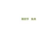 鲁科五四版八年级上册 7.1.4 鱼类 课件