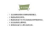 鲁科五四版八年级上册 7.1.4 鱼类 课件
