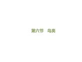 鲁科五四版八年级上册 7.1.6 鸟类 课件