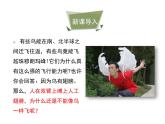 鲁科五四版八年级上册 7.1.6 鸟类 课件