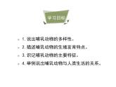 鲁科五四版八年级上册 7.1.7 哺乳类 课件