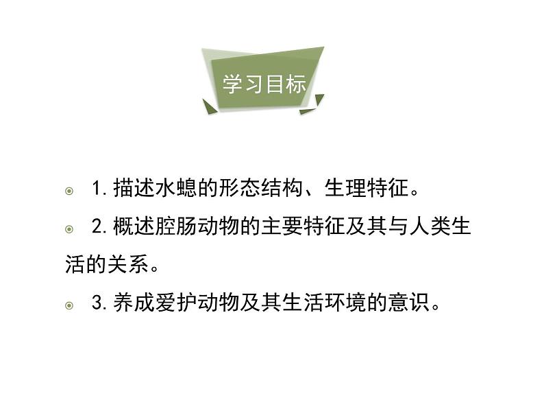 鲁科五四版八年级上册 7.1.1 腔肠动物和扁形动物（第1课时） 课件第6页