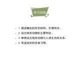 鲁科五四版八年级上册 7.1.2 线形动物和环节动物（第1课时） 课件