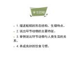 鲁科五四版八年级上册 7.1.2 线形动物和环节动物（第2课时） 课件