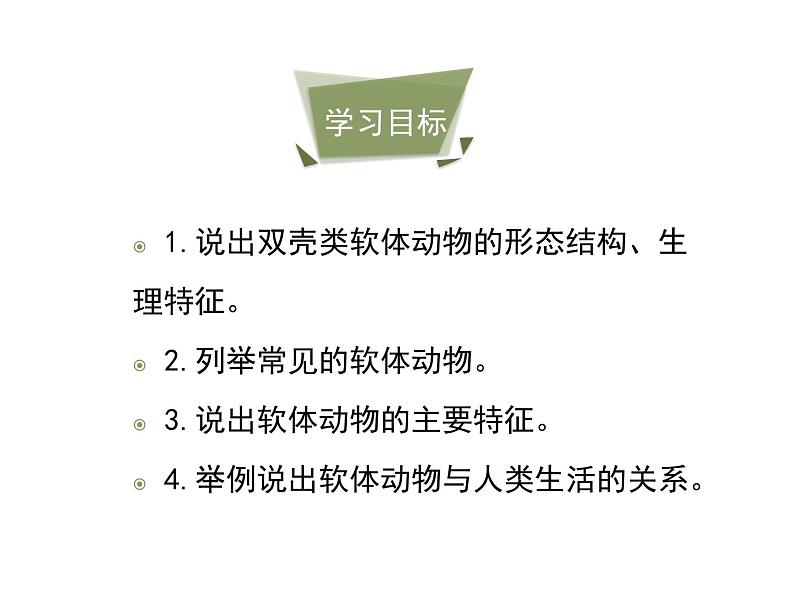 鲁科五四版八年级上册 7.1.3 软体动物与节肢动物（第1课时） 课件04