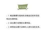 鲁科五四版八年级上册 7.1.5 两栖类和爬行类（第2课时） 课件