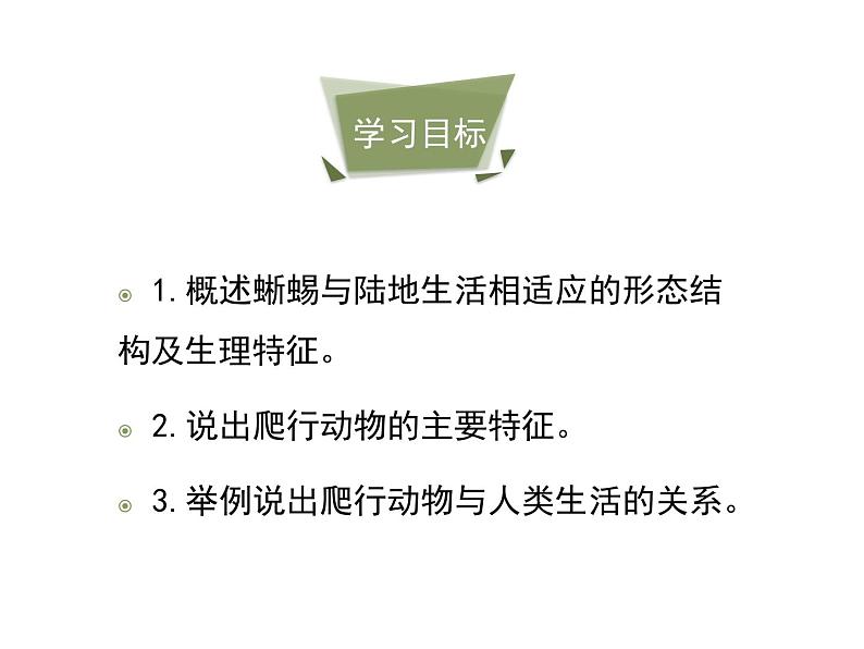 鲁科五四版八年级上册 7.1.5 两栖类和爬行类（第2课时） 课件04