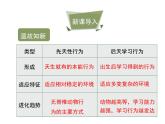 鲁科五四版八年级上册 7.2.2 先天性行为和学习行为（第2课时） 课件