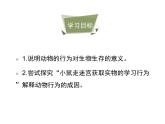 鲁科五四版八年级上册 7.2.2 先天性行为和学习行为（第2课时） 课件