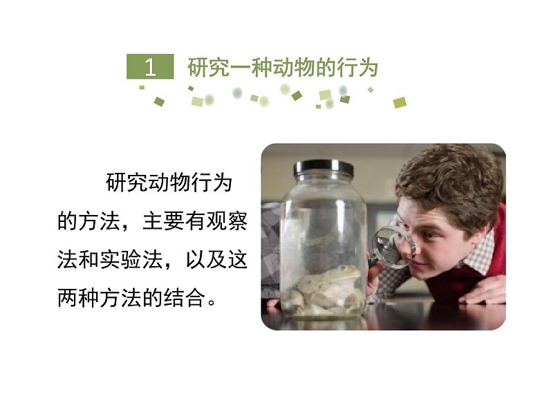 鲁科五四版八年级上册 7.2.2 先天性行为和学习行为（第2课时） 课件05