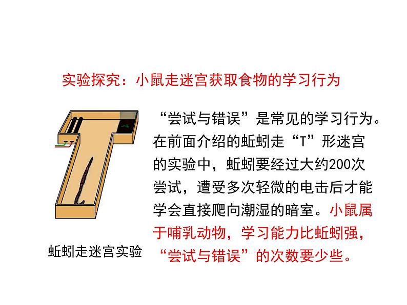 鲁科五四版八年级上册 7.2.2 先天性行为和学习行为（第2课时） 课件06