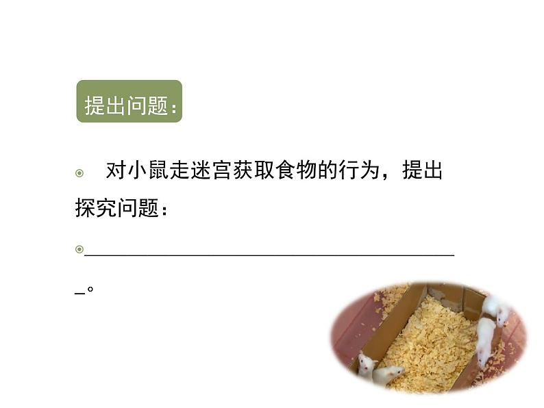 鲁科五四版八年级上册 7.2.2 先天性行为和学习行为（第2课时） 课件07