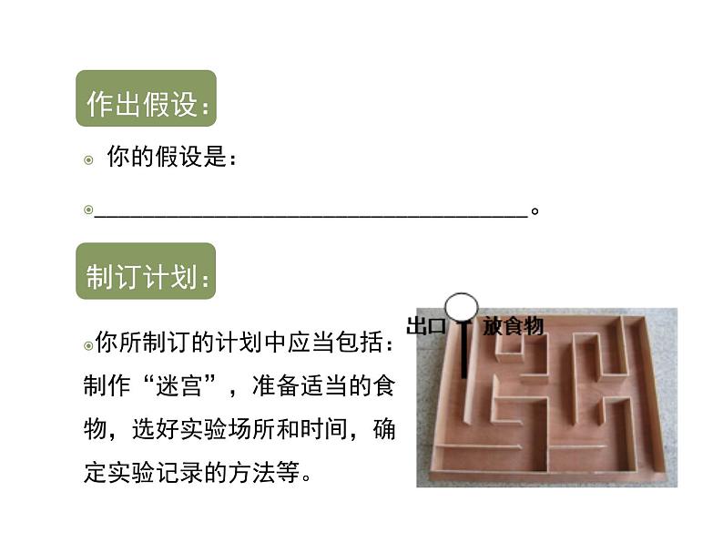 鲁科五四版八年级上册 7.2.2 先天性行为和学习行为（第2课时） 课件08