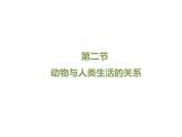 鲁科五四版八年级上册 7.3.2 动物与人类生活的关系 课件