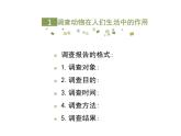 鲁科五四版八年级上册 7.3.2 动物与人类生活的关系 课件