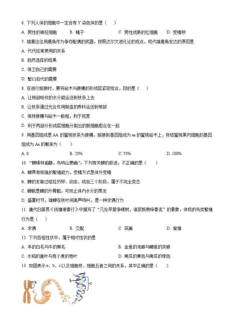 宁夏吴忠市三中，一中，六中2023-2024学年八年级下学期期中生物试题（原卷版）02