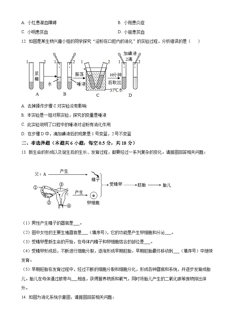 辽宁省沈阳市沈北新区2023-2024学年七年级下学期期中生物试题（原卷版）03