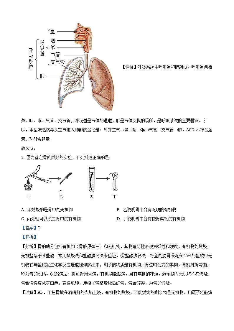 辽宁省沈阳市沈北新区2023-2024学年七年级下学期期中生物试题（解析版）第2页