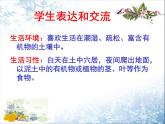 生物鲁科五四版八年级上册 7.1.2线形动物和环节动物 课件