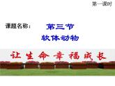生物鲁科五四版八年级上册 7.1.3软体动物和节肢动物 课件