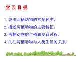 生物鲁科五四版八年级上册 7.1.5两栖类和爬行类——两栖动物 课件