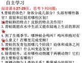 生物鲁科五四版八年级上册 7.1.5两栖类和爬行类——两栖动物 课件