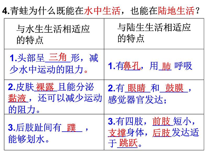 生物鲁科五四版八年级上册 7.1.5两栖类和爬行类——两栖动物 课件07