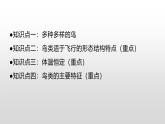生物鲁科五四版八年级上册 7.1.6鸟类 课件