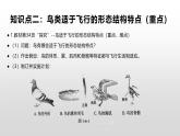 生物鲁科五四版八年级上册 7.1.6鸟类 课件