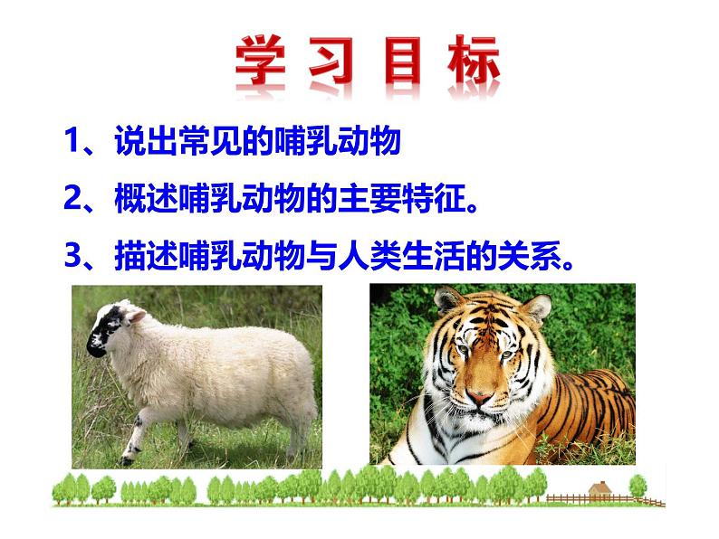 生物鲁科五四版八年级上册 7.1.7哺乳类课件03