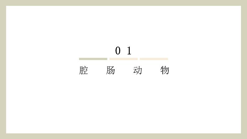 生物鲁科五四版八年级上册 7.1.1  腔肠动物和扁形动物 课件03