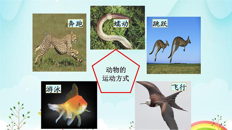 生物鲁科五四版八年级上册 7.2.1动物的运动教学 课件02