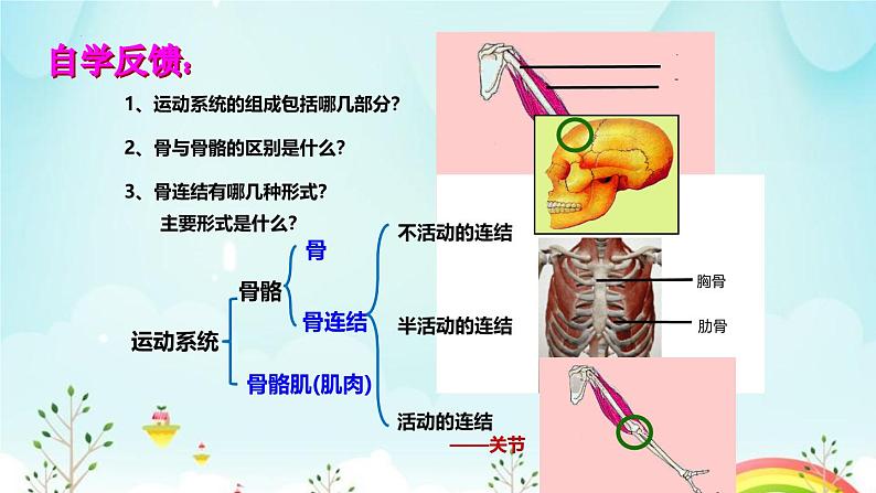 生物鲁科五四版八年级上册 7.2.1动物的运动教学 课件06