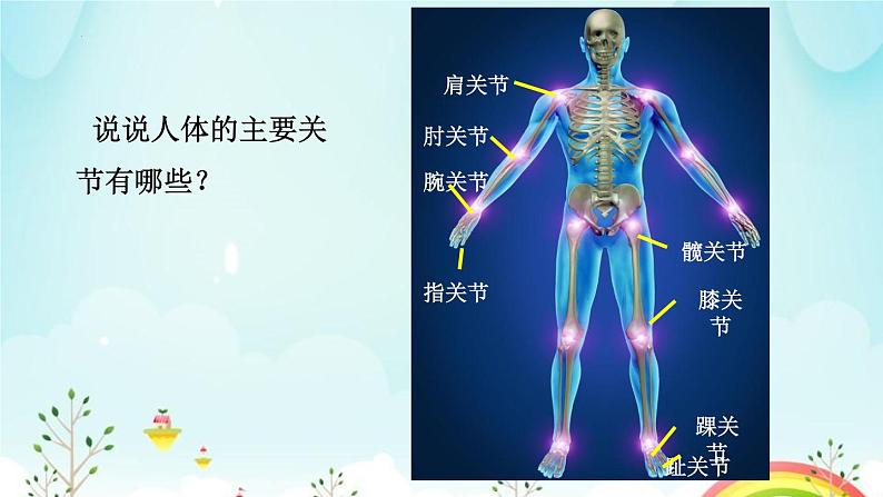 生物鲁科五四版八年级上册 7.2.1动物的运动教学 课件07