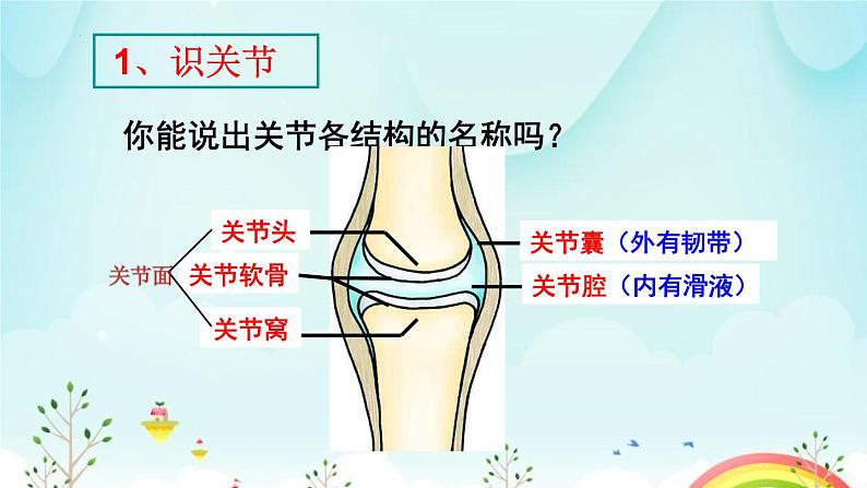 生物鲁科五四版八年级上册 7.2.1动物的运动教学 课件08