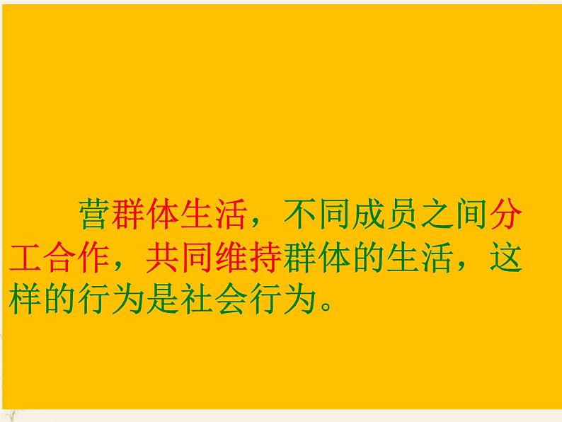 生物鲁科五四版八年级上册 7.2.3社会行为课 件04