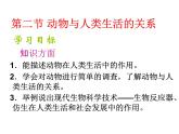 生物鲁科五四版八年级上册 7.3.2 动物与人类生活的关系 课件