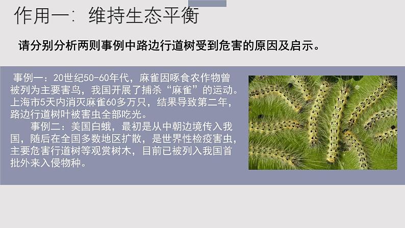 生物鲁科五四版八年级上册 7.3.1动物在自然界中的作用 课件08