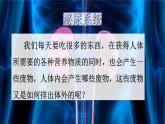 生物沪教版八年级上册 生命科学 1.2 人体生命活动需要的环境条件 第3课时 泌尿系统在维持内环境稳定方面的作用 课件