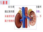 生物沪教版八年级上册 生命科学 1.2 人体生命活动需要的环境条件 第3课时 泌尿系统在维持内环境稳定方面的作用 课件